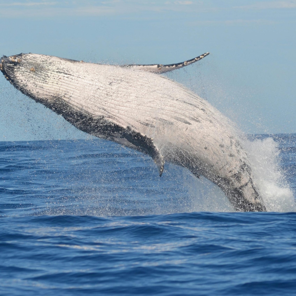 pexels-aurore-murguet-9995704-6134284